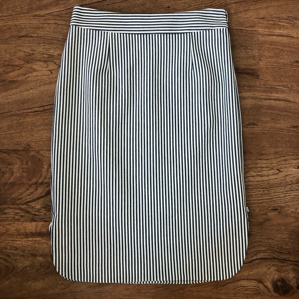 Striped Blue and White Pencil Skirt